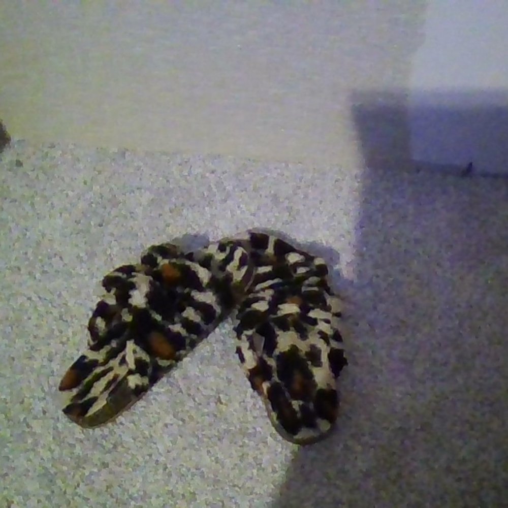 Cheetah print fuzzy Birkenstock